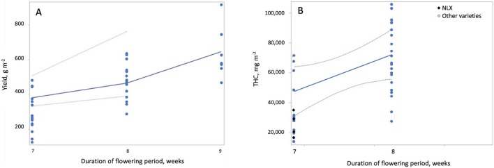 Effect of the duration of the flowering growth period on yield and THC per square meter. Both yield per square meter (A) and THC per square meter (B) increased with increasing duration of the flowering period. Duration of the flowering period had a strong (|r| > 0.7) negative correlation to maximum temperature and duration of the vegetative growth period; therefore, these predictors have the opposite effects on yield and THC per square meter as duration of the flowering period.