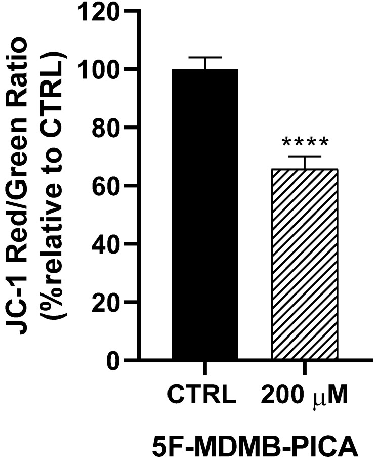 Effects of 5F-MDMB-PICA on the mitochondrial membrane potential of U87-MG cells. Cells were treated with 200 µM 5F-MDMB-PICA for 24 h. The effect of 5F-MDMB-PICA on Δψm was evaluated using the JC-1 assay at excitation and emission wavelengths of (530 or 590 nm, respectively, for the RED oligomers and at 485 or 528 nm for the GREEN monomers. Data are expressed as the mean ± SEM. * P < 0.05, ** P < 0.01, and **** P < 0.0001