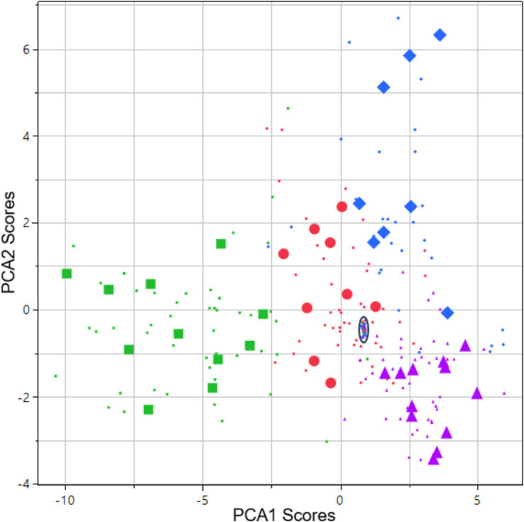 Score vector of principal components 2 plotted vs. 1. The analysis is based on all key features collected at both light conditions. Data is from 48 subjects: 12 subjects across 4 types of drug families including baseline measurements and 5–6 subsequent assessments during 1–5 h after drug administration on the day of intake. Data points originating from the time point with highest average eye reaction magnitude are shown as large size markers. In some cases, subjects failed to produce data at this time point due to intoxication, leading to fewer than 12 large size markers in some cases. Green square = opioid (oxycodone). Purple triangle = phenethylamine (lisdexamphetamine). Blue diamond = benzodiazepine (lorazepam). Red circles = cannabis (Bedrocan). Black oval = drug sober baseline (95% of collected data inside the oval).