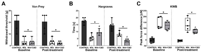 Analgesic potential of 50 mg/kg CBD at Day 27 and 28 post MIA induction. Assessment was performed after a 6-day wash-out period on the same rats presented in Figure 4. Pain was assessed at baseline at Day 27 post MIA (Baseline) and 2 h after i.p. administration of CBD (50 mg/kg) at Day 28 post MIA (Post-treatment) (A–C). Two-way ANOVA revealed significant treatment effect in all tests (p < 0.0001). Individual data points are shown in box and whisker plots presenting the means ± min to max. Each experimental group included N = 5–6 rats. ● denotes samples in control group; ■ denotes samples in MIA group; ▲ denotes samples in MIA + CBD group. The difference was considered significant when p < 0.05. * Denotes significant differences compared with the vehicle-treated control group of healthy animals; # denotes difference compared with the vehicle-treated MIA group.