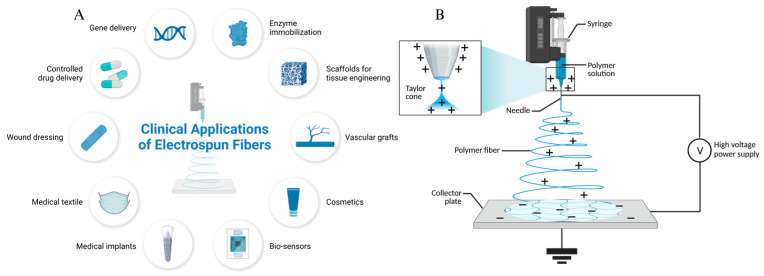 Electrostatic spinning application areas (A) and electrostatic spinning schematic (B).