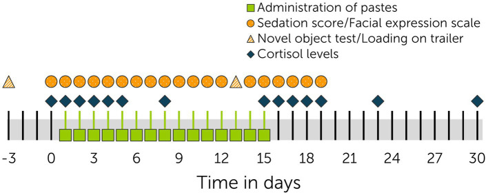 Timeline of multiple dose study. Pastes (3 mg CBD/kg and control) were administered twice daily (n = 6 + 6 horses) from days 1 to 15.