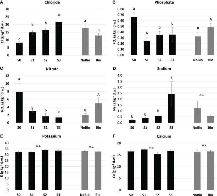 Mean effects of water salinity and biostimulant application on (A) Chloride, (B) Phosphate, (C) Nitrate, (D) Soidum, (E) Potassium, and (F) Calcium assimilation in hemp leaves. Water salinity treatments: S0 freshwater control; S1, S2, and S3 are saline solutions prepared by adding 15.7, 35.2, and 54.8 mmol L-1 of NaCl to tap water, corresponding to electrical conductivities of 2, 4, and 6 dS m-1, respectively. Biostimulant treatments: NoB is non-treated control; B is plant biostimulation with legume protein hydrolysate. Means with the same letter (lowercase for water salinity and uppercase for the application of biostimulants) are not different according to the LSD test (P ≤ 0.05). “n.s.” indicates non-significant differences. Standard errors (n=6 for water salinity and n=12 for biostimulant) are reported in brackets.