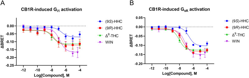 CB1R-driven G protein activation induced by the tested cannabinoids. HEK293 cells were transiently transfected with Gαi1-Rluc8 or GαoA-Rluc8, Gβ2-Flag, Gγ2-VENUS, and SNAP-CB1R. The cells were stimulated with the indicated concentrations of (9S)-HHC, (9R)-HHC, Δ9-THC, WIN, or their vehicles. BRET donor and acceptor emission was measured 12 min after receptor stimulation. (A) Concentration–response relationship of Gαi1 subunit dissociation from the G protein complex after CB1R stimulation. (B) Concentration–response relationship of GαoA subunit dissociation from the G protein complex after CB1R stimulation. The data are presented as means ± SEM from three independent experiments. The data analysis is disclosed in Supplementary Tables 1 and 2.