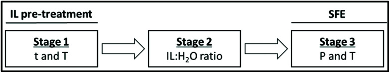 Successive optimization stages of IL-SFE.