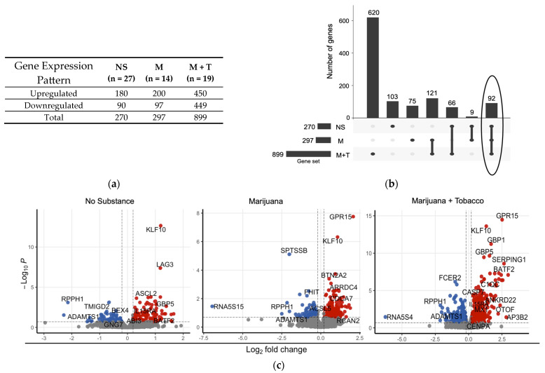 Distinct differential gene expression profiles associated with substance use in virally suppressed YWH relative to YWOH (a) Differential expression analysis was performed to gain a global perspective of the perturbation in gene expression by YWH and substance use using transcriptome profiles of YWOH, who used no substance as the reference. Columns show genes differentially expressed in each test group. Genes showing an absolute fold change (|FC|) ≥ 1.2 and (FDR) < 0.2 were considered significantly altered in expression. NS: YWH who used no substances; M: YWH who used marijuana; M + T: YWH who used marijuana with tobacco. (b) An UpSet plot was used to visualize the overlap of differentially expressed gene sets. In this vertical UpSet plot, the columns represent the individual gene sets, and the rows correspond to the intersections of these sets. Circle highlights distinct transcriptional profiles among virally suppressed YWH (c) A volcano plot was utilized to visualize highly significant DEGs perturbed across different groups. Here the x axis shows log2 FC, which represents the magnitude of change in gene expression, with positive values denoted by red dots, indicating upregulation, negative values by blue dots, denoting downregulation, and non-significant values denoted by gray dots. The y axis represents the statistical significance of changes in gene expression for different YWH substance-use groups. Only highly significant DEGs were labeled by their gene symbols.