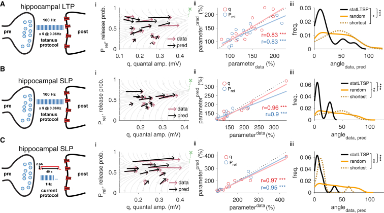 Statistical Long-Term Synaptic Plasticity, StatLTSP, Predicts Expression Loci of Synaptic Potentiation in Hippocampus(A) Long-term potentiation (LTP) experiments in hippocampus using a tetanus protocol (bound estimated with this dataset).(B) Short-lasting potentiation (SLP) experiments in hippocampus using a tetanus protocol (bound estimated in A).(C) Short-lasting potentiation (SLP) experiments in hippocampus using a long-step-current protocol (bound estimated in A). (i) Model predictions and observed changes in Prel and q parameters (black and purple, respectively). Green cross represents the estimated bound, which is outside the plotted range of q(φhippocampus∼0.68mV). (ii) Predicted and observed changes in both Prel (blue) and q (red). There is no significant difference between predicted and observed changes for both Prel (hipp. LTP: p = 0.8; tetanus-SLP: p = 0.54; current-SLP: p = 0.62) and q (hipp. LTP: p = 0.96; tetanus-SLP: p = 0.67; current-SLP: p = 0.9). (iii) Distribution of angles (in degrees) between observed and predicted changes for statLTSP (black solid line), a random (orange solid line) and a shortest path model (dark orange dashed line; see STAR Methods). Predictions for LTP by shortest path model are not different from the predictions by the random path model (p = 0.83). LTP and SLP experiments were reanalyzed from Larkman et al. (1992) and Hannay et al. (1993), respectively.