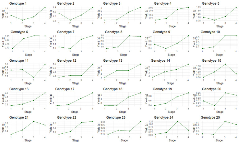 The total cannabinoid yield of each plant over the four amber stages. Dark green: total cannabinoid yield (g).