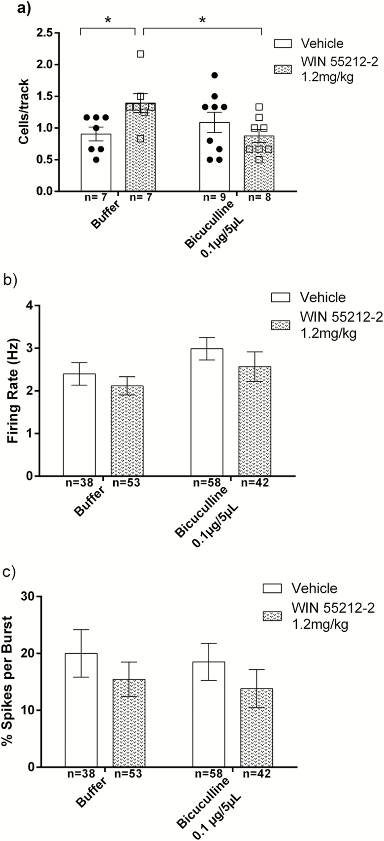 Local perfusion of bicuculline into the ventral pallidum (VP) reversed the increase in dopamine neuron spontaneous activity induced by adolescent exposure to WIN 55212-2. Local perfusion of bicuculline (0.1 μg/0.5 μL) or buffer solution was carried out in VP 10 minutes before in vivo single-unit recording. Recordings were performed in anesthetized adult rats following vehicle (buffer/vehicle n = 7 and bicuculline/vehicle n = 9) and WIN 55212-2 adolescent exposure (buffer/WIN n = 7 and bicuculline/WIN n = 8). Data correspond to mean ± SEM. (a) Population activity of dopamine neurons. *P < .05 compared with buffer/WIN group, Sidak post-test. (b) Average firing rate. (c) Q1262039 Percentage of spike in a burst.