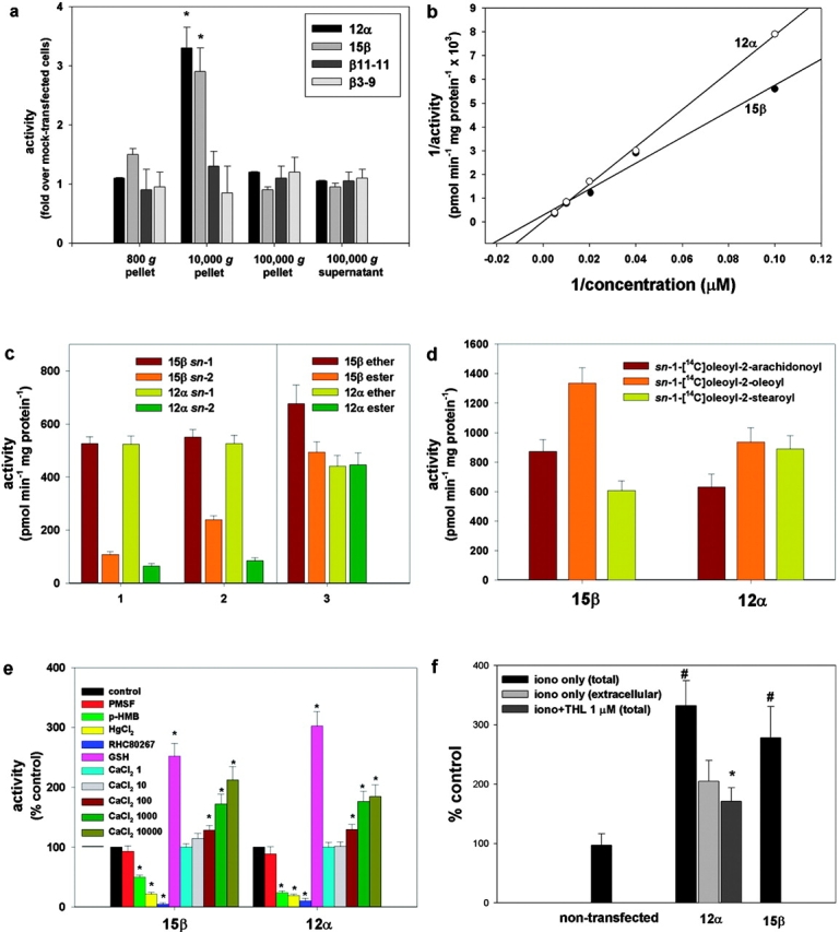 Enzymatic characterization of the new lipase gene products expressed in COS cells (clones 12α and 15β). (a) Subcellular fractionation of the enzymes using sn-1-stearoyl-2-[14C]arachidonoyl-glycerol as a substrate. Controls included two clones expressing the highest levels of the β gene product with single point mutations in Asp 494 to Ala (clone 3-9β) and Ser 443 to Ala (clone 11-11β). Activity is expressed as fold over the activity in fractions from a clone transfected with the β construct that expressed no detectable transgene (clone 7β, control cells). (b) Lineweaver–Burk profiles of the activities in the 10,000 g pellets from clones 12α and 15β. Data points were subtracted from the activity found in control cells (clone 7β). Vmax values were 33.3 ± 4.5 and 3.45 ± 0.16 nmol min−1 mg protein−1 for the α and β form, respectively. (c) Selectivity of the two DAGLs for the sn-1 position of DAGs. The rate of formation is shown for: (1) [14C]oleic acid (sn-1 bars) and sn-1-[14C]oleoyl-glycerol (sn-2 bars) from sn-1-[14C]oleoyl-2-oleoyl-glycerol, this indicates sn-1 and sn-2 selectivity, respectively; (2) mono[14C]oleoyl-glycerol from either sn-1-[14C]oleoyl-2-oleoyl-glycerol (sn-2 bars) or sn-1-oleoyl-2-[14C]oleoyl-glycerol (sn-1 bars), this indicates sn-2 and sn-1 selectivity, respectively; and (3) [14C]oleic acid from either sn-1-[14C]oleoyl-2-arachidonyl glyceryl ether (ether bars), or sn-1-[14C]oleoyl-2-arachidonoyl glycerol (ester bars), this indicates sn-1 selectivity, without and with possible interference from sn-2 selectivity, respectively. (d) Rate of formation of [14C]oleic acid using DAG substrates with different fatty acids on the 2-position. (e) Effect of inhibitors, glutathione (GSH), and calcium on enzyme activity assessed using sn-1-[14C]oleoyl-2-arachidonoyl-glycerol as substrate. 1 mM PMSF; 1 mM p-hydroxy-mercuri-benzoate (p-HMB); 5 mM HgCl2; and 100 μM RHC80267. The concentrations of CaCl2 in the assay buffer were 1, 10, 100, 1,000, and 10,000 μM. (f) Formation of 2-AG from intact COS cells (nontransfected or clones 12α and 15β), stimulated for 20 min with vehicle (DMSO, 0.1%), 4 μM ionomycin, or ionomycin + 1 μM THL after a 5-min preincubation with THL. 2-AG levels were measured in cells plus medium (total) by liquid chromatography-mass spectrometry. Results are expressed as a percentage of 2-AG formation from vehicle-stimulated cells (12.1 ± 4.3 pmol/mg extracted lipids). In one set of experiments, the amounts of 2-AG produced after ionomycin stimulation were measured separately in cells and medium, and the percentage of the amount of 2-AG found in the medium (extracellular) is shown. Data are means ± SEM of n ≥ 4. *, P < 0.05, control cells; #, P < 0.05, iono only (total), t test.
