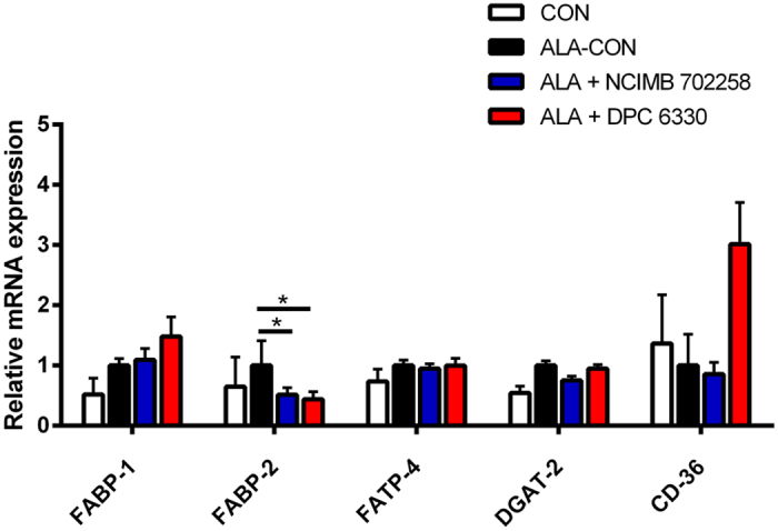 Relative mRNA gene expression of fatty acid uptake and transport enzymes in the ileum of mice fed ALA enriched diets either alone (n = 10) or in combination with Bifidobacterium breve NCIMB 702258 (n = 10) or B. breve DPC 6330 (n = 10), or an unsupplemented diet (n = 10), relative to β-actin.Expression in the unsupplemented diet and ALA enriched diets supplemented with either B. breve NCIMB 702258 or B. breve DPC 6330 is relative to the ALA enriched diet, which was set to 1. Values are means ± SD, represented by vertical bars. Data was analysed by one-way ANOVA, followed by post hoc Tukey’s multiple comparison test. Significant differences are represented by *(P < 0.05).