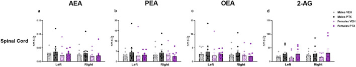 Investigation of endocannabinoid ligands (A–D) and related N-acylethanolamine levels (B,C) (nmol/g of tissue) in male and female rats following VEH or PTX intraperitoneal injections in the spinal cord. Data expressed as mean ± S.E.M (n = 10 per group).