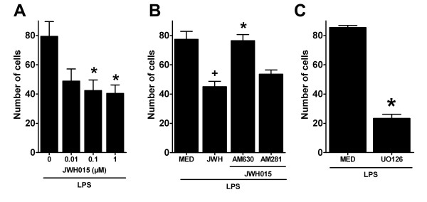 Quantification of JWH015-reduced LPS-stimulated microglial migration. (A) JWH015 reduced the number of LPS-stimulated microglia that migrated towards ADP in a dose related fashion. *p < 0.05 vs. medium control group (0) group. (B) Blockade of the effects of JWH015 (1 μM,) on microglial migration by the selective CBR2 antagonist, AM630, but not by the selective CBR1 antagonist, AM281. Data are presented as the number of cells that migrated towards ADP. +p < 0.05 vs. medium group (MED), *p < 0.05 vs. JWH015 1 μM group (JWH) group. (C) Blockade of microglial migration by the selective MEK inhibitor UO126 in LPS-stimulated microglia. UO126 (1 μM), which selectively blocked MEK and thereby ERK phosphorylation, significantly reduced the number of LPS-stimulated microglia that migrated towards ADP. *p < 0.05 vs.medium group (MED) group.