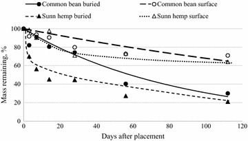 Buried and surface-placed common bean and sunn hemp residue mass loss (dry weight basis) over 112 days
