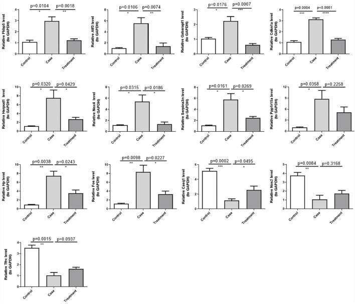 Validation of the expression of 13 DE-ERSRGs by RT-qPCR. Validation of the expression levels of 13 DE-ERSRGs in mice tissue samples by quantitative RT-PCR. Error bars show mean ± SD. Data are representative of three independent experiments. *p < .05, **p < .01, ***p < .001.
