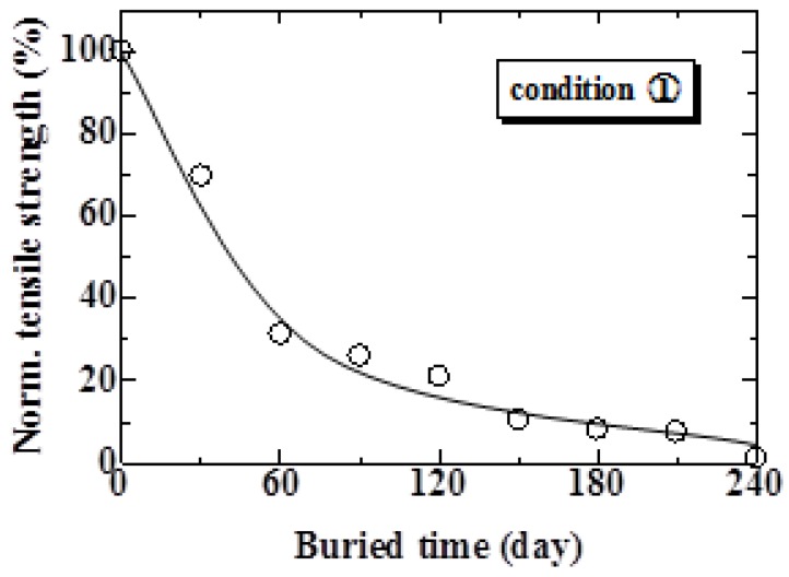 Relationship between normalized tensile strength and burial period under Condition 1.
