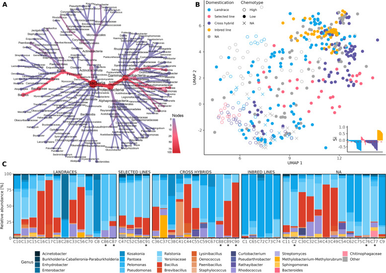 The structure of the Cannabis seed microbiome. A The heat tree shows the relative abundance (node colour) and the number of taxa (node size) of the identified seed endophytes on different taxonomic levels. B Dimensionality reduction of the amplicon sequencing variants (ASVs) using UMAP shows bacterial community composition based on a Bray–Curtis dissimilarity matrix, with significant differences between genotypes and domestication grades (P ≤ 0.001). The inset plot shows the separation distances between samples in the different domestication grades. Colours indicate different domestication grades and shape different chemotypes. C Mean relative abundance of the highly abundant (> 5%) members of the microbiome inhabiting seeds of different genotypes on genus level. Different genera are grouped according to bacterial classes using the same colour hue. Blue corresponds to Gammaproteobacteria, red to Bacilli, violet to Actinobacteria, yellow to Alphaproteobacteria, and pink to Bacteroidia, and the remaining genera are displayed in grey as Other. Genotypes with THC content > 0.3% are marked with *