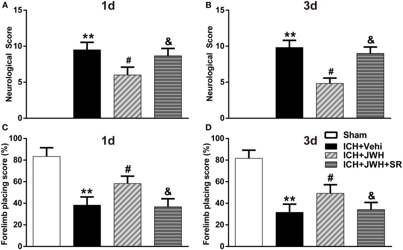 Neurological deficit scores. Results of modified Neurological Severity Score test at 24 h (A) and 72 h (B), and forelimb placing test at 24 h (C) and 72 h (D). Each experiment was repeated three times and the average value was taken for statistics. Vehi, Vehicle; JWH, JWH133; SR, SR144528. Values were expressed as the mean ± SD, n = 6 per group. **P < 0.01 compared with sham group; #P < 0.05 compared with ICH + Vehi group; &P < 0.05 compared with ICH + JWH group.