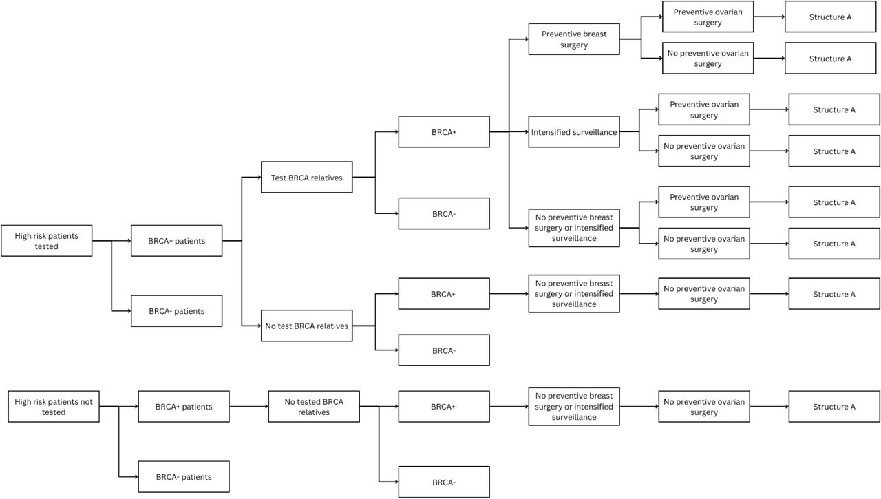 Simulation model. Decision tree model component