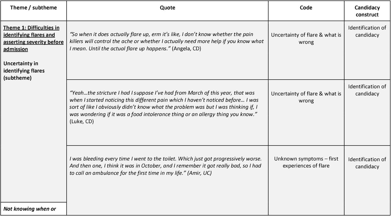 Qualitative themes with quotes