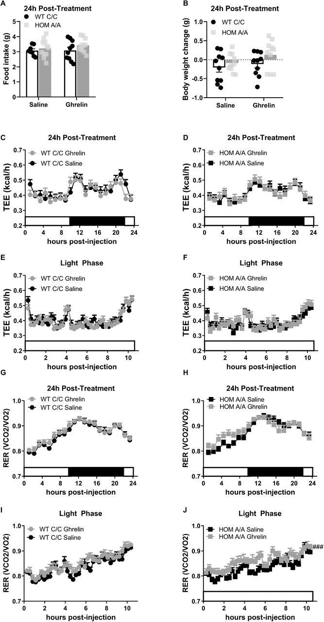 Scientific figure