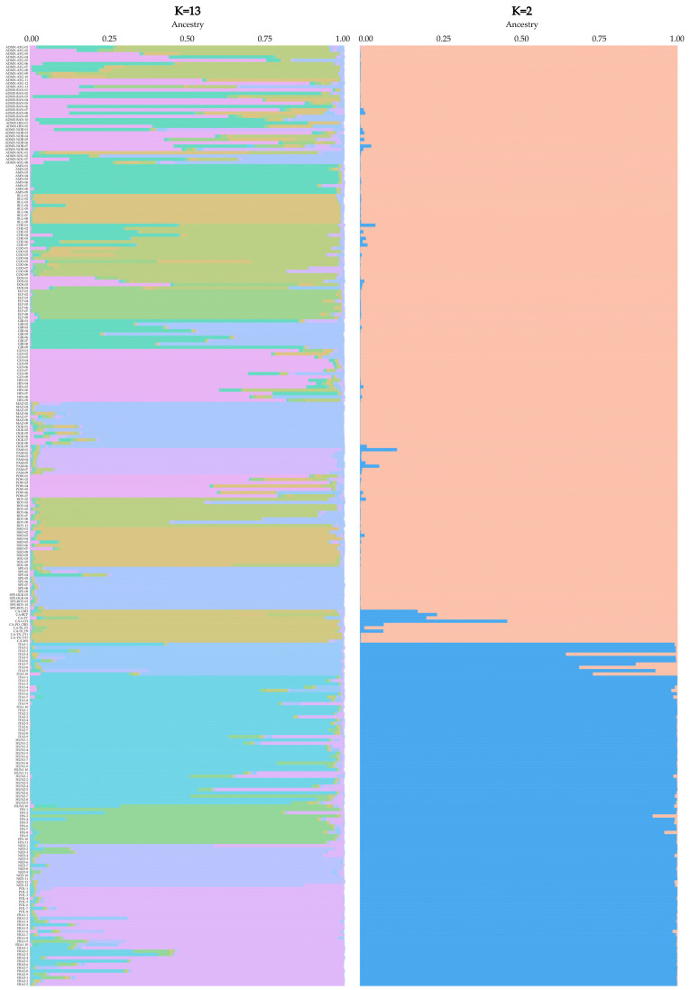 Population structure with K = 2 (right) and K = 13 (left) of all (285) Cannabis accessions, including 171 European-origin and 10 Canadian-origin (CA) drug-type samples and 104 European-origin hemp-type samples. Variety IDs can be found in Supplementary Table S1.