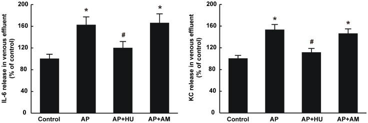 Effects of HU210 and AM251 on the releases of IL-6 and KC from the isolated rat stomach.The levels of IL-6 and KC were measured in the rat gastric venous effluent as described in MATERIALS AND METHODS, Each specimen was measured three times and data are expressed as mean ± SEM (n = 6). *P<0.05 vs control, #P<0.05 vs those in AP group.