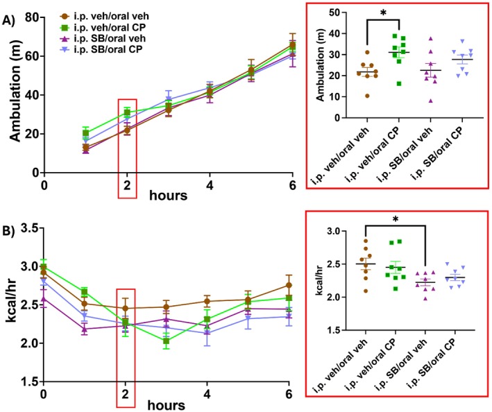 Changes in locomotor activity and energy expenditure following cannabinoid receptor agonist CP55940 and OX1 receptor antagonist SB334867 (n = 8/treatment). Locomotor activity in meters is shown over the first 6 h following the return of food access in (A). Two‐way repeated measures ANOVA and post hoc analyses with uncorrected Fisher's LSD of activity 2 h following food access revealed that CP55940 increased ambulation that was attenuated, but not completely blocked, by SB334867 (A, enclosed in red square). Energy expenditure (EE) in kcal/h is shown for up to 6 h over the first 6 h following the return of food access in (B). Two‐way repeated measures ANOVA and post hoc analyses with uncorrected Fisher's LSD of EE 2 h following food access revealed that only SB334867 decreased EE at this time point (B, enclosed in red square). Red boxes on the larger graphs are indicating the time point at which the two‐way cross‐sectional analyses were conducted, and the resulting data are enclosed in the adjacent red square. Data are means +/− SEM; *p < 0.05.