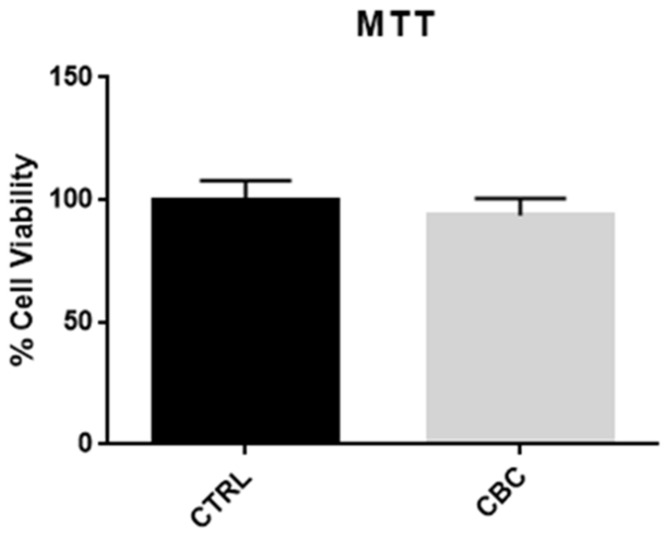 MTT test after 24 h of CBC treatment. There is no significant difference between the control group and the treated group, thus proving that CBC at 10 µM is not toxic for the cells.