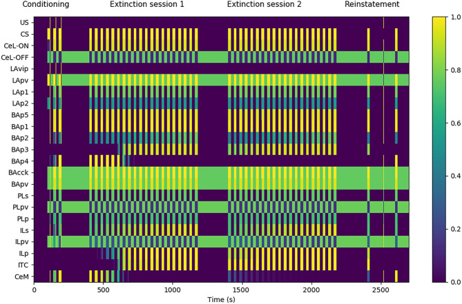Model functioning during the tests. The graph shows in particular the activation of the model units, indicated in the y-axis, during a session of fear conditioning, formed by: 3 CS stimuli paired with a short US; two sessions of extinction, consisting in 20 CS stimuli each; and a session of fear reinstatement, involving a sequence of “CS, US, CS” stimuli. The x-axis represents the time of the sessions. The activation of CeM represents the expression of freezing.