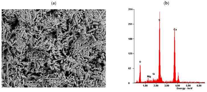 The analysed fresh split surface of gypsum paste: (a) SEM microphotograph and (b) EDS analysis in the reference specimen without fibres—Series ref; S-Sulphur, Ca-Calcium, Mg-Magnesium, Si-Silicon (scanning electron microscope, scale bar = 50 µm).