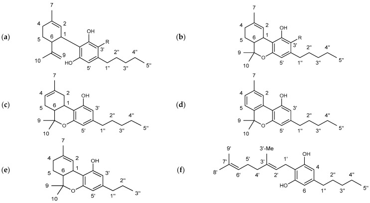 Chemical structures of the main cannabinoids studied in this work including the applied numbering system. (a) R = H: cannabidiol (CBD), R = COOH: cannabidiolic acid (CBDA); (b) R = H: ∆9-tetrahydrocannabinol (∆9-THC), R = COOH: ∆9-tetrahydrocannabinolic acid A (THCA); (c) ∆8-tetrahydrocannabinol (∆8-THC); (d) cannabinol (CBN); (e) ∆9-tetrahydrocannabivarin (THCV); (f) cannabigerol (CBG).