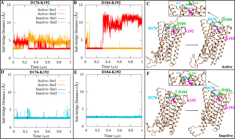Time series of the salt bridge network between Cα atoms of K192 (magenta), D176 (cyan), and D184 (green) in the (A,B) active and (D,E) inactive CB1 states across replicates. (C,F) Graphical illustration of K192-D176/D184 salt bridge interactions in the active and inactive CB1 conformations.