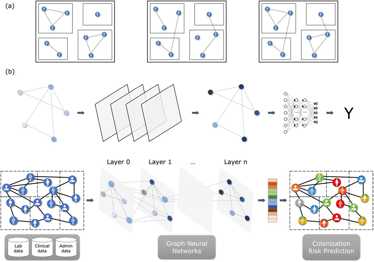 (a) Colonisation models. We constructed 3 different graphs, in which links were created between patients only if they were in the same ward (left), only if they were visited by the same healthcare worker (centre) or both (right). (b) Graph-based machine learning pipeline for colonisation risk prediction.