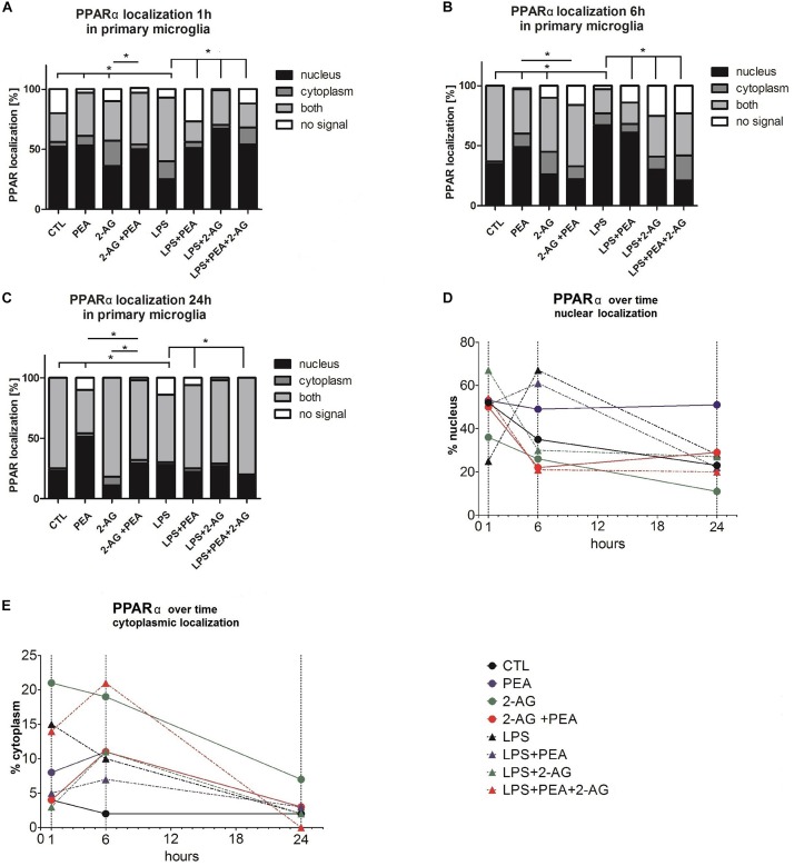 PPARα subcellular distribution and cellular localization after incubation with 2-AG and PEA in primary microglial cells. The localization of PPARα was analyzed over time by the use of staining (A–C) 1, 6, and 24 h after treatment, (D) nuclear, (E) cytoplasmic localization (1, 6, and 24 h after treatment). The number of cells which did not or expressed PPARα in the nucleus or/and cytoplasm was counted. In graphs (A–E) the subcellular location was scored in 483 (1 h), 362 (6 h), and 337 (24 h) cells by light microscopy and presented as percentage. Each independent experiment was repeated at least three times. The same data are displayed in two different ways to point out the differences in the distribution (A–C) between the time points for cytoplasmic and nuclear localization (D,E). Statistics was performed using a Chi Square test and significance was chosen for p < 0.05. The asterisk denotes significant results regarding the respective measurement indicated with the bar. The values are served as a mean with standard error of the mean.