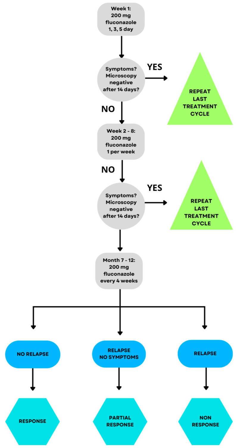 Treatment regimen for VVC [27,28]. Treatment begins with 200 mg of fluconazole; if symptoms persist and cultures are positive, 200 mg of fluconazole is given once a week for 6 weeks. If there is no improvement, 200 mg of fluconazole is administered once every 4 weeks for 6 months [27,28].