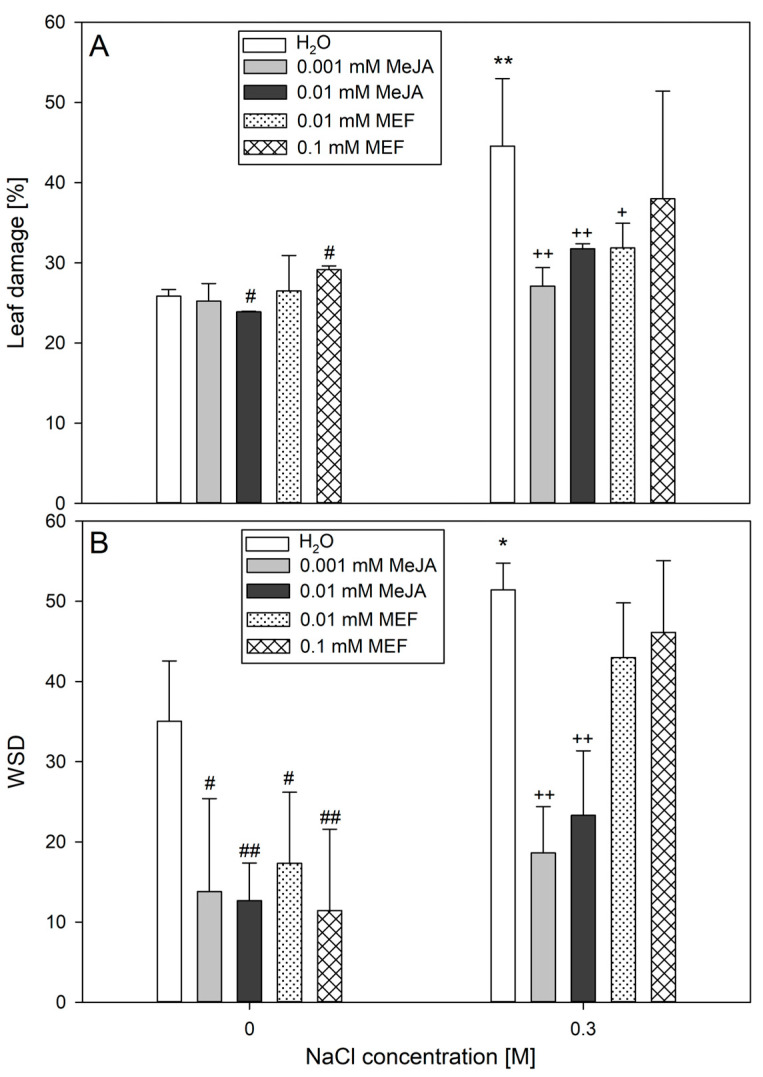 Effects of methyl jasmonate (MeJA) and mefenamic acid (MEF) on leaf damage (A) and WSD (B) in 25-day-old plants subjected to salt stress. Treatments included NaCl (0.3 M), MeJA (0.001 mM and 0.01 mM), MEF (0.01 mM and 0.1 mM), and their combinations. Values represent means ± SD. Statistical significance: NaCl vs. H2O ** p ≤ 0.01, * p ≤ 0.05; MeJA/MEF vs. H2O ## p ≤ 0.01, # p ≤ 0.05; MeJA/MEF + NaCl vs. NaCl ++ p ≤ 0.01, + p ≤ 0.05.