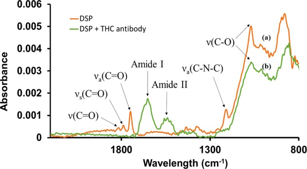FTIR spectra of (a) DSP crosslinker immobilized on Au surface, (b) anti-THC antibody conjugated to DSP cross-linker.