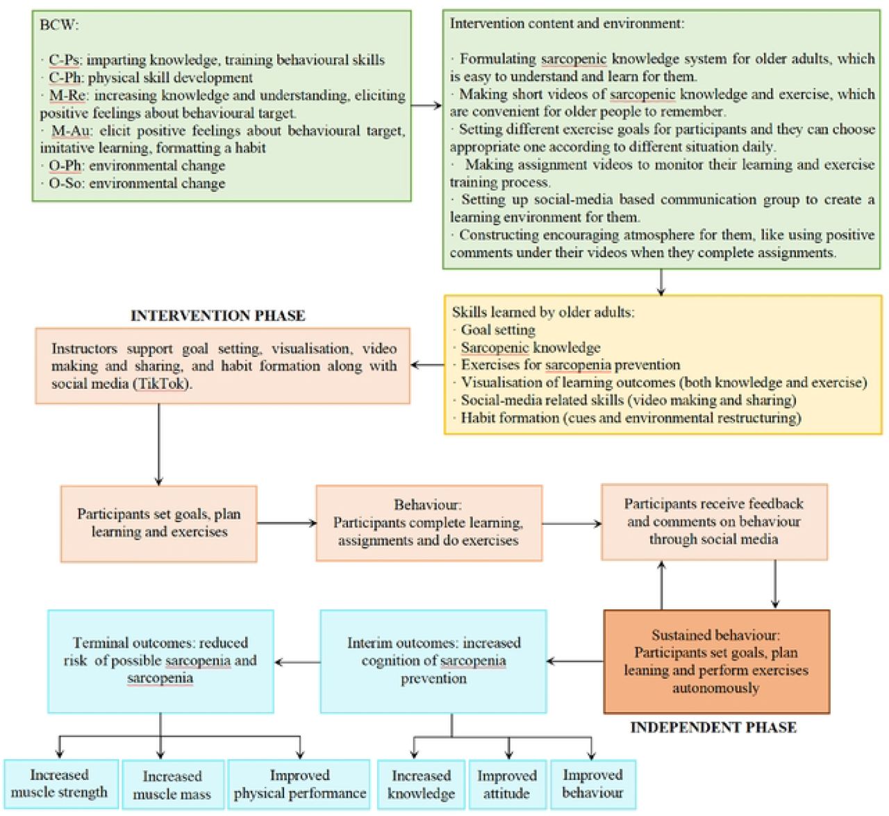 The SHEEP Conceptual ModelNote: C-Ps, psychological capability; C-Ph, physical capability; M-Re, reflective motivation; M-Au, automatic motivation; O-Ph, physical opportunity; O-So, social opportunity.