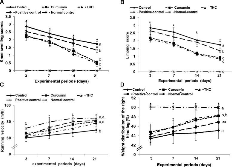 Gross observation of osteoarthritis symptoms and pain-related behaviors at 3, 7, 14, and 21 days after monoiodoacetate (MIA) injection. Ovariectomized (OVX) rats were provided with a 45 % fat diet containing (1) 0.4 % curcumin, (2) 0.4 % tetrahydrocurcumin (THC), (3) 30 μg/kg body weight 17β-estradiol + 0.4 % dextrin (positive control), (4) 0.4 % dextrin (control), or (5) 0.4 % dextrin (normal control for osteoarthritis). At the beginning of the fifth week, an articular injection of monoiodoacetate into the right knee was performed on all OVX groups except the normal-control group and the assigned diets were provided for an additional 3 weeks. Rats in the normal-control group had an articular injection of saline in the right knee. In a gross observation of osteoarthritis symptoms, the scores of the swelling (a) and limping (b) in the right knee were measured. As indicators of knee pain, differences in weight distribution of the right hind paw (c) were measured by an incapacitance tester and maximum running velocity on a treadmill (d) was determined. Each data point and error bar represents the mean ± SD (n = 10). Asterisks represent the significant treatment effect by repeated measures of a two-way ANOVA test at P < 0.05. (a, b, c, d) The dots with different letters were significantly different among groups in the Tukey test at P < 0.05
