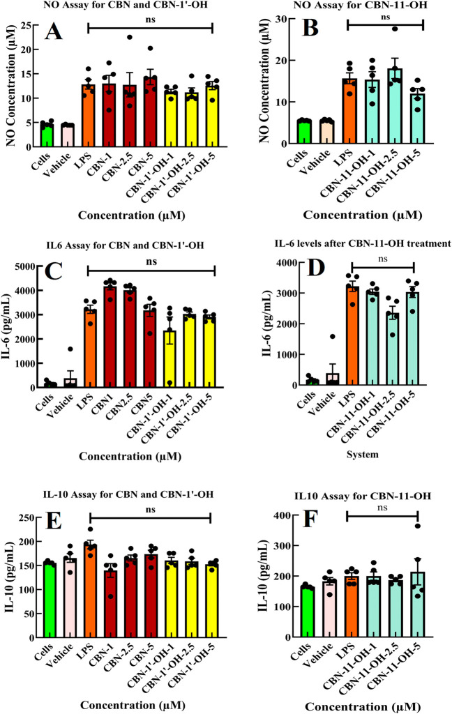 Effect of CBN and hydroxy metabolites of CBN on various inflammatory markers like NO, IL-6, and IL-10 on LPS-stimulated BV2 microglial cell lines. (A) and (B) NO levels (μM) as detected through NO assay from LPS-stimulated BV2 cells. There is no detectable significant (ns) change in the NO levels in CBN, CBN-11-OH, and CBN-1′-OH treated (at 1, 2.5, and 5 μM concentrations) BV2 cells compared to cells with only LPS treatment. (C) and (D) Changes in IL-6 levels and (E) and (F) changes in the IL-10 levels. All the markers have been examined from the same batch of supernatant. For statistical analyses, we used one-way ANOVA with Brown–Forsythe and Welch ANOVA tests. For multiple comparisons, we used the Dunnett T3 test and reported p-values with less than 0.05 as significant and ns implies not significant. The number of samples for each condition was n = 5. We used the GraphPad Prism 10 software to estimate the same.