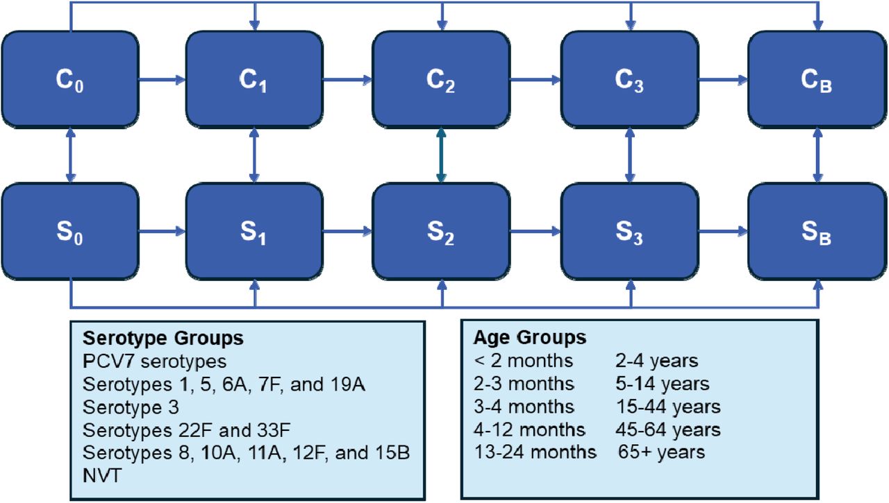 Model structure.C = carrier; NVT = non-vaccine type; S = susceptible.Note: Subscripted numbers indicate the vaccine primary dose number received; the subscript “B” indicates the booster dose received. Compartments of carriage are stratified based on development of IPD or not. Compartments relevant to vaccine doses (both carriage and susceptible) are further stratified into “no immunity” and “full immunity” which is determined by vaccine effectiveness, age group, and serotype group.