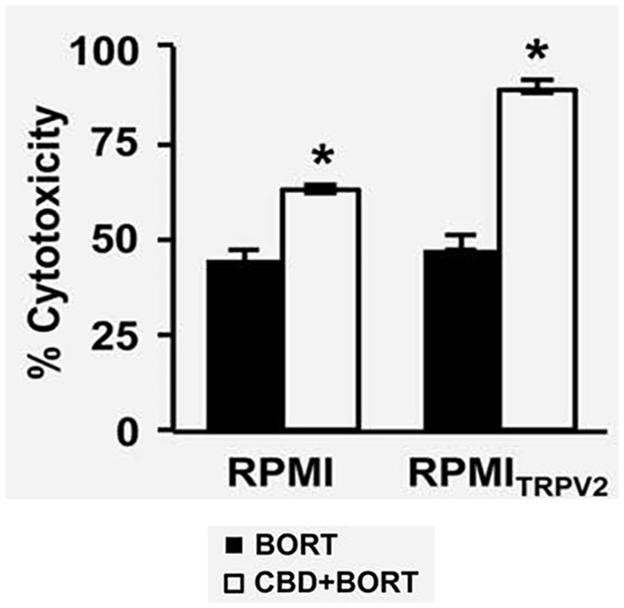 The cytotoxic effect of BORT (3 ng/mL) alone or together with CBD (20 μM) 67 (republished after obtaining permission from the author and journal).