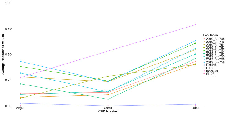 Graphical representation of the G × I interaction of the Iapar59 × ET.56 population and the isolates Ang29, Cam1, and Que2. X-axis: Isolates of C. kahawae; Y-axis: Average resistance of C. arabica populations.