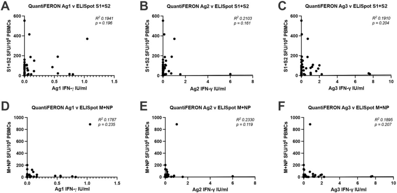 Correlation between T cell responses measured by QuantiFERON and PITCH ELISpot.(A-C) Correlation between QuantiFERON Ag1, Ag2 and Ag3 with ELISpot S1+S2. (D-F) Correlation between QuantiFERON Ag1, Ag2 and Ag3 with ELISpot M+NP. N = 47 for each analysis. Correlation analysis was carried out with Spearman’s r correlation and two-tailed P values reported, with alpha = 0.05.