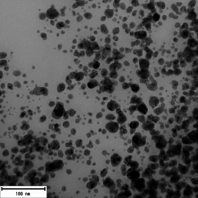 Transmission electron microscopy (TEM) photograph of AgNPs synthesized using Cannabis sativa extract, predominantly showing spherical shapes. The images provide a visual representation of nanoparticle morphologies, with the AgNPs exhibit predominantly spherical shapes, with occasional ellipsoid particles