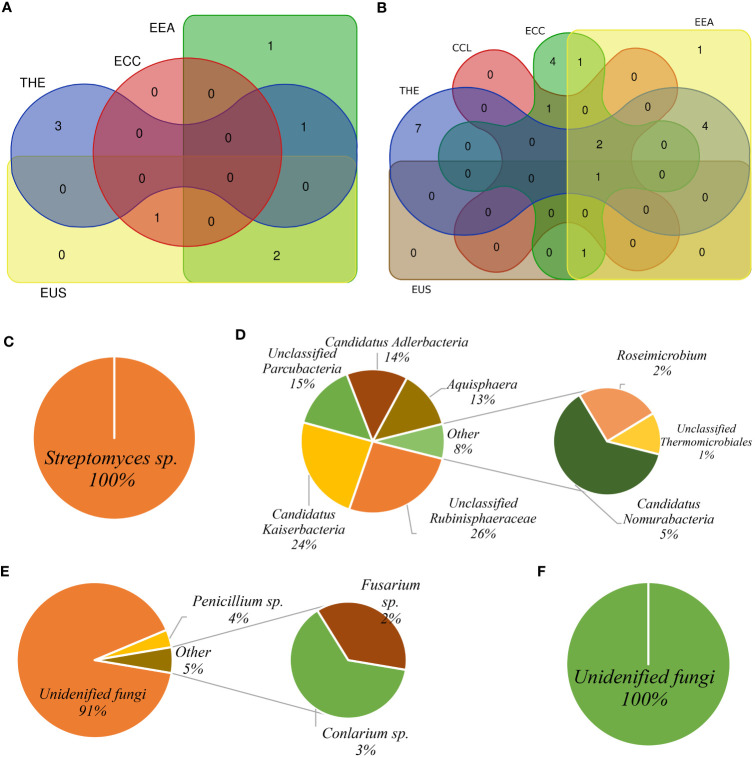 Core microbiota pattern among Cannabis cultivars. The Venn diagram shows eco-microbiota shared among Cannabis cultivars under different treatments for bacterial community (A) and fungal community (B). Bacterial core microbiota in the root biotope (C) and soil biotope (D). Fungal core microbiota in the root biotope (E) and in the rhizosphere soil biotope (F).