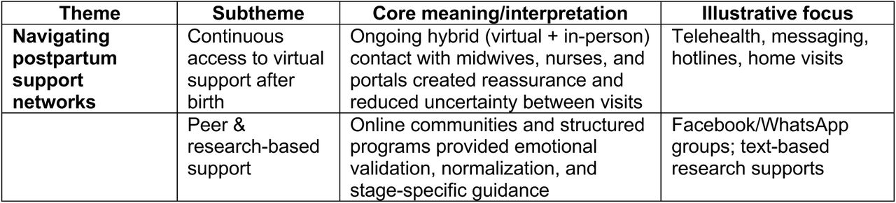 Interpretation and illustrative focus of sub-themes.