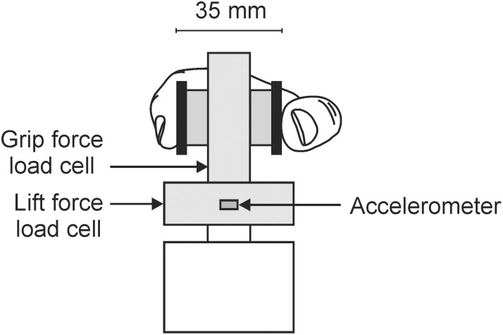 Experimental apparatus used in task one (total weight 0.342 kg).The index finger and thumb contacted the test object on two polished brass disks positioned 35mm apart.