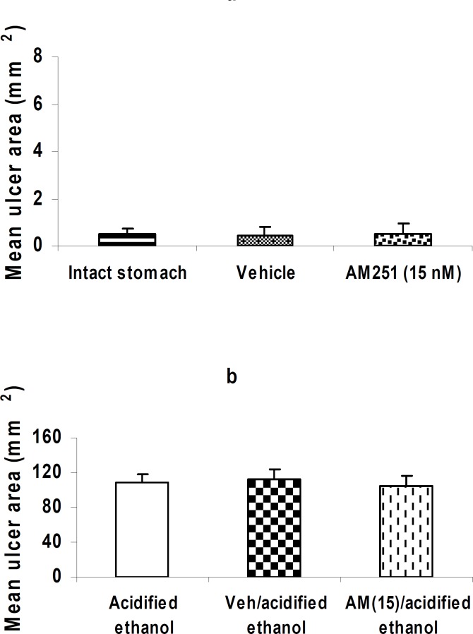 Effect of AM 251 on the intact stomach and gastric mucosal injury induced by acidified ethanol. Administration of AM 251 (15 nM/rat, i.c.v.) alone did not affect the mucosal integrity in the intact stomach (a, P> 0.05).